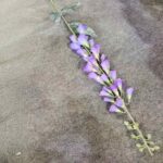 Artificial silk bluebells sprig lying on sand backdrop for floral decor and crafts.