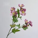 Pink silk eranthis stem with delicate blooms and green leaves on a branching stem