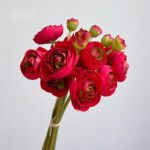 Silk ranunculus bouquet AHHY9008 in red