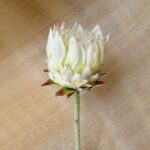 Realistic Flocking-King Protea artificial fake flower stem for elegant decor