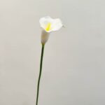 Realistic white artificial Calla lily flower stem for wedding and home decor accents.