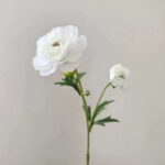 Silk ranunculus (2 heads) ZZHY6005 in white