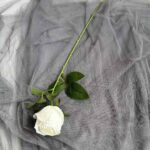 White silk rose artificial flower stem with green leaves on sheer gray background.