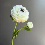 Silk ranunculus (2 heads) AHHY5004 in white