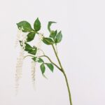 Hanging cluster of white faux floral arrangements on green stems for decor.
