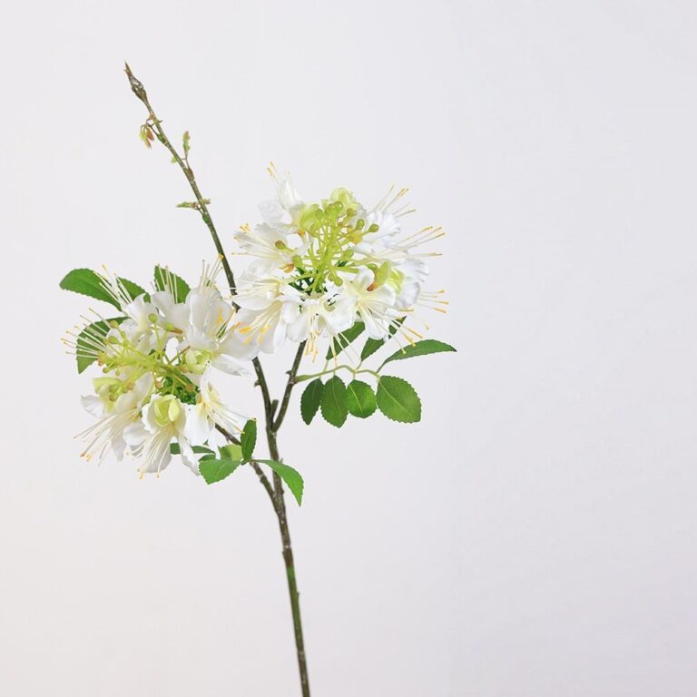 White silk-flame tree blossoms arranged on stems with green leaves, perfect for floral decor