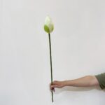 Artificial white silk lotus flower bud on a stem held against a plain white background.