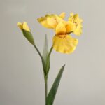 Artificial yellow iris flowers featuring one open bloom and one closed bud for decorative home accents.
