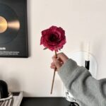 Hand holding a deep red silk artificial rose, perfect for lasting home decor accents.
