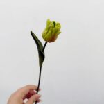 Realistic artificial green tulip stem, ideal for wedding or home decor arrangements.