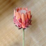 Realistic Flocking-King Protea artificial flower, ideal for wedding centerpieces or home decor.