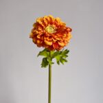 Orange zinnia flower with green leaves and stem against a light gray background.