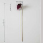 EVA-Anthurium burgundy flower on a slender stem, ideal tropical floral accent piece