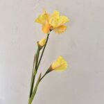 Three artificial yellow silk iris flowers bouquet for home decor, realistic fake blooms.