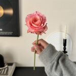 Holding a single faux silk rose flower in pink tones