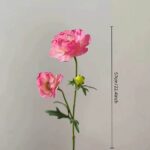 Silk ranunculus (2 heads) ZZHY6005, size and stem length reference