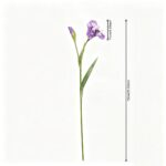 Realistic artificial iris flowers set with two blooms on long stems for elegant home decor.