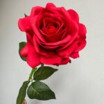 Real Touch Garden Rose - HZ6005 artificial flower - view 2