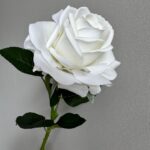 Realistic white rose flower on green stem, perfect for elegant home decor and arrangements.