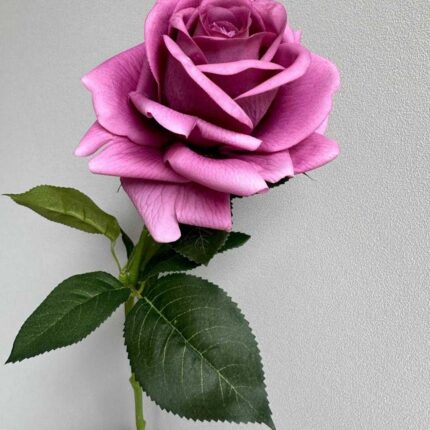 Real Touch Garden Rose - HZ6005 artificial flower - view 4