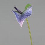 Faux blue anthurium leaf on stem, a realistic artificial flower decoration.