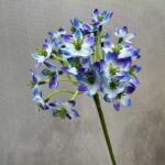 Artificial flower display of blue silk Agapanthus blooms on stems for home decoration.