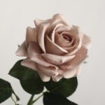 Elegant light pink artificial rose bloom with lush green foliage, perfect for home decor.