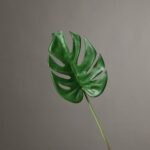 Lush green artificial flower Monstera leaf made from silk material.