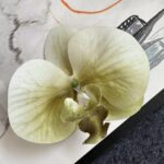 Realistic 3D silk orchid head in cream yellow tones, perfect for decorative home floral display.