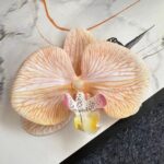 Realistic 3D silk artificial orchid head decoration for home floral arrangements.