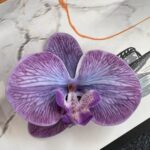 Realistic 3D silk artificial orchid head, featuring deep purple and lavender petals.