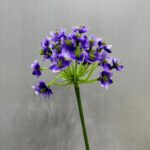 Artificial flower display of purple Agapanthus blooms on a single green stem.