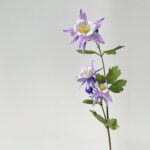 Realistic columbine silk flower branch, an artificial flower perfect for home decorations and arrangements.