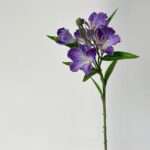 Bouquet of purple silk lily artificial flowers for decoration.
