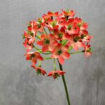 Artificial silk Agapanthus bouquet featuring realistic red blooms for durable home decor.