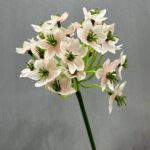 Artificial silk flower bundle of white Agapanthus blooms for home decor.