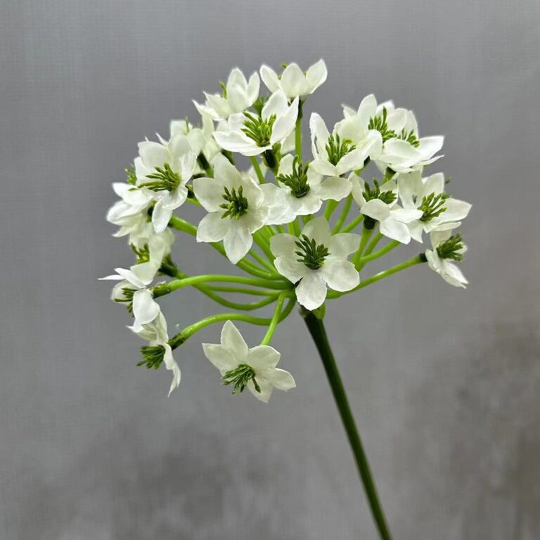 Clustered white silk Agapanthus flowers, an artificial flower decoration.