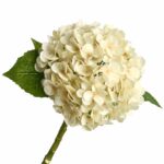 Real Touch Hydrangea - TJ9000 artificial flower - view 11