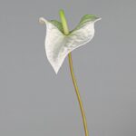 White EVA artificial Anthurium bloom on stem, perfect for realistic silk floral decor.