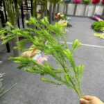 Artificial golden tea tree foliage branch, perfect for indoor floral decor and arrangements.