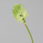 PVC allium stem S-GZWH5006 in light green