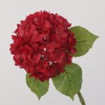 Deep red artificial hydrangea flower stem with large realistic bloom and green leaves