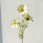 Flocking Cosmos 3 Heads - 73-YWMR1008 artificial flower in champagne