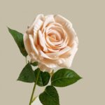 Soft pink faux rose artificial flower perfect for lasting wedding décor and arrangements.