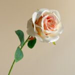 Cream silk rose, a beautiful artificial flower perfect for elegant wedding arrangements.