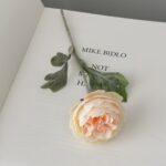Silk ranunculus stem 48-YWMR1004 in champagne