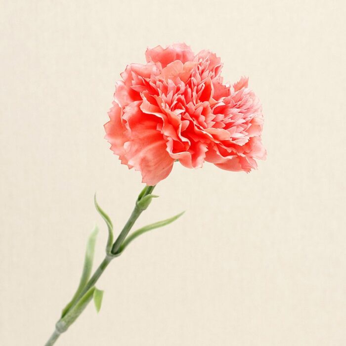 Realistic artificial flower carnation stem, ideal for faux wedding bouquets and decor.