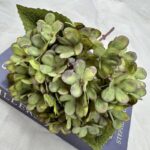 Silk Hydrangea - 36-TJYL4001 artificial flower in green