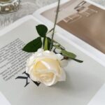 Silk Rose - 58-YWMR1000 artificial flower in ivory