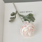 Silk ranunculus stem 48-YWMR1004 in low pink